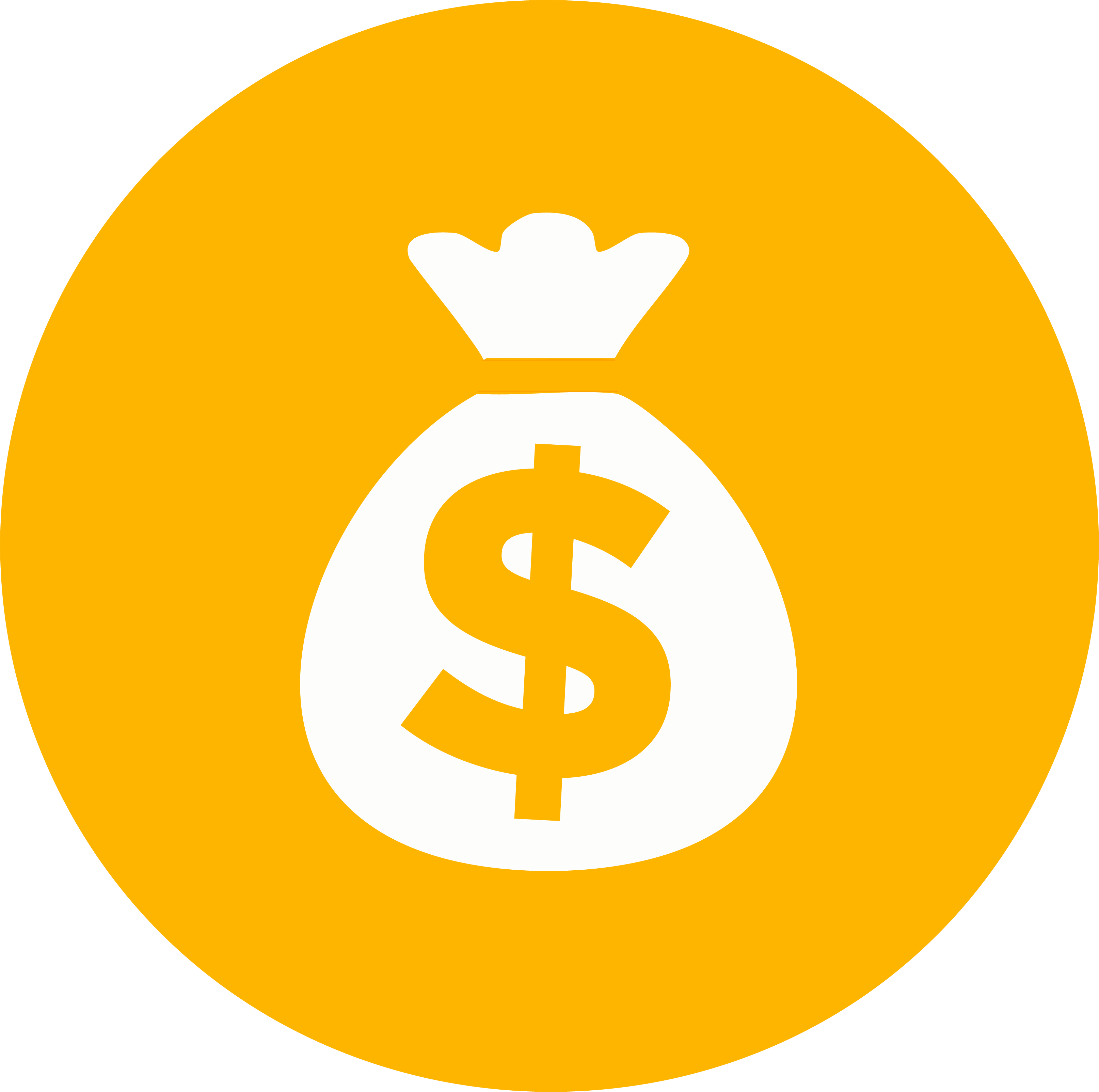 BAGWORK COIN Logo